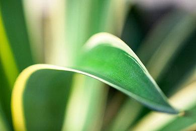 不跳票 官方宣布《死亡搁浅导剪版》IOS版今年发售